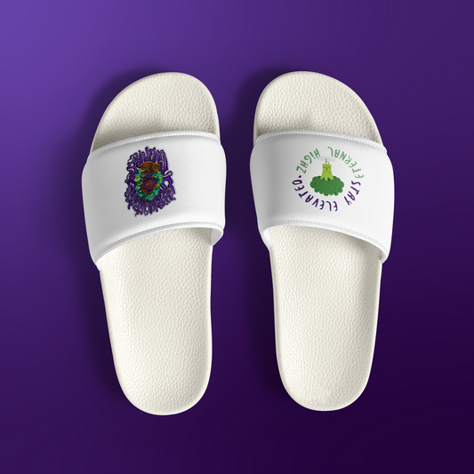 EH Men’s Slides ASTROSTEPS